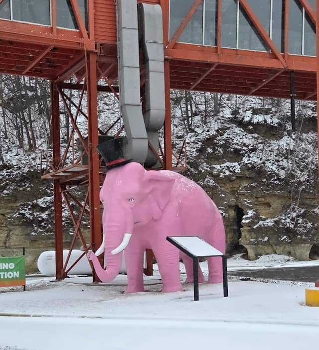 Marquette’s Pink elephant - Image 1