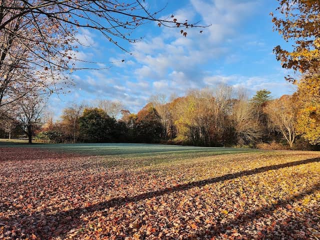 Savage Park - Image 1
