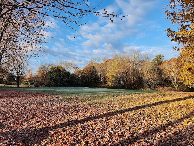 Savage Park - Image 1