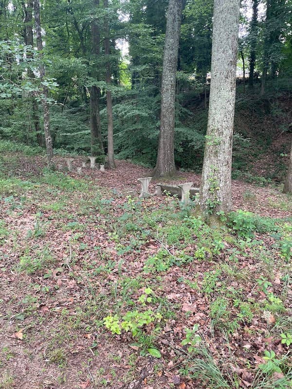 Woodland park - Image 2