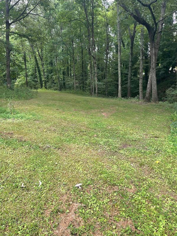 Woodland park - Image 1