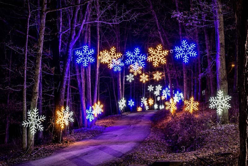Trail Of Lights - Image 2