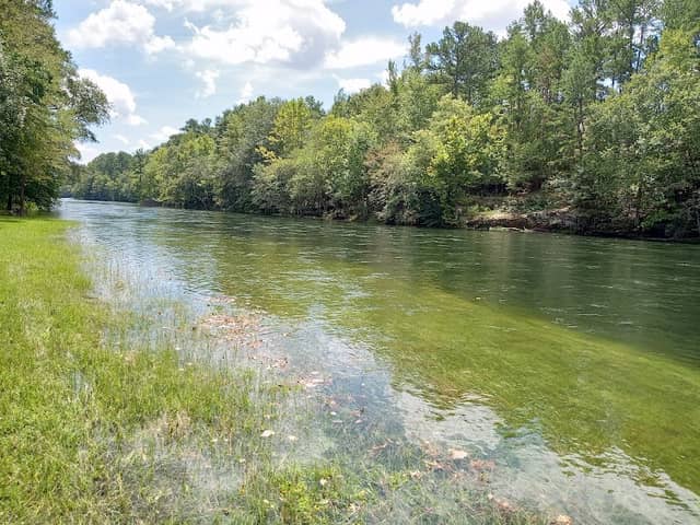 Riverside Picnic Area - Image 1
