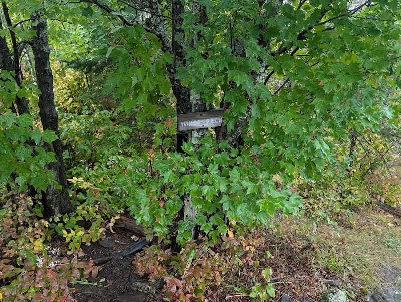 Mike's Rock - Image 2