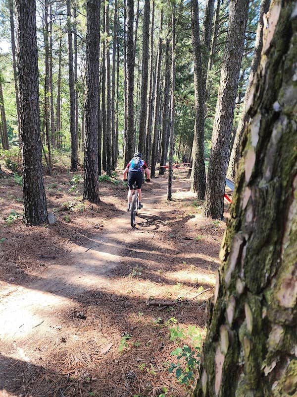 Old Post Mountain Bike Trail - Image 2