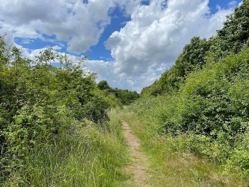 Osiers Nature Reserve - Image 1