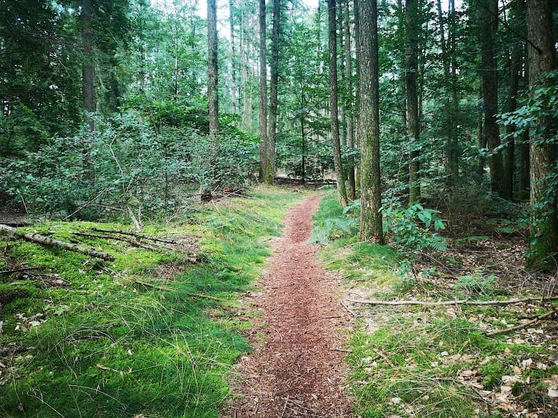 Groot Beekermark (Bergherbos) - Image 1