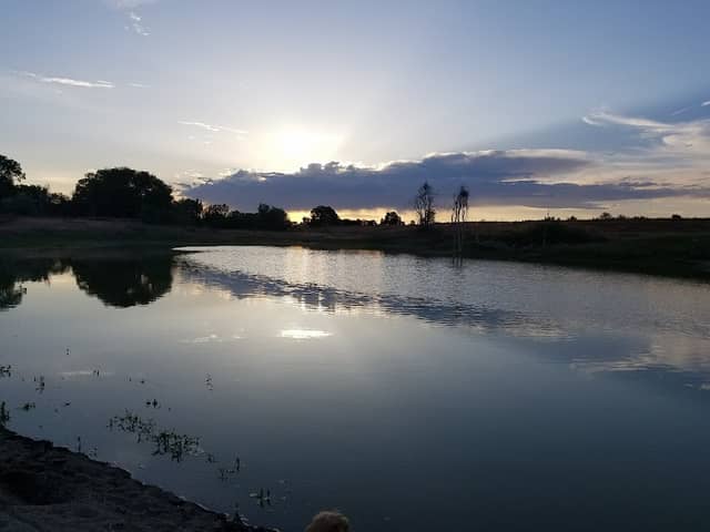 Claytonia Pond Wildlife Habitat Area - Image 2