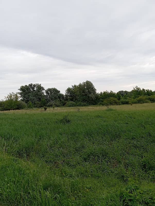 Dolina Warty - Image 1