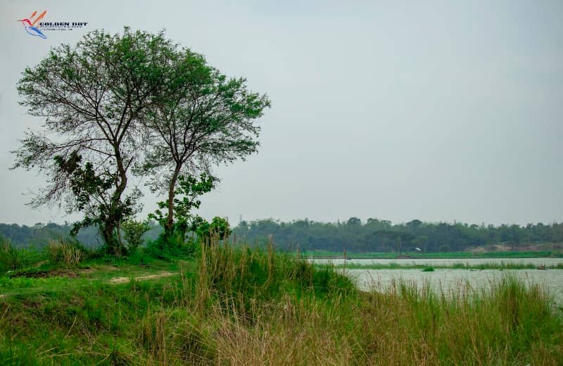 Island - Image 1