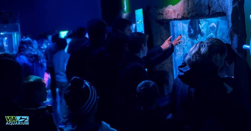 VIA Aquarium - Image 1