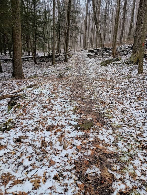 Fisherman's Cove Trail - Image 1