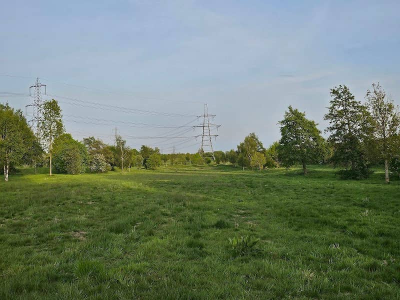 Eccleston Park - Image 2
