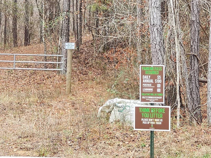 Standing Boy Hiking Parking - Image 1