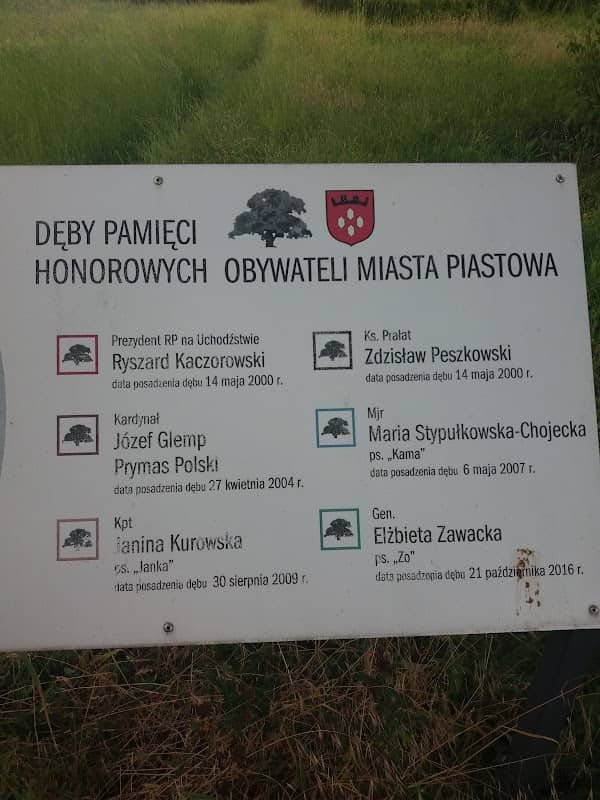 Dęby Pamięci w Piastowie - Image 1