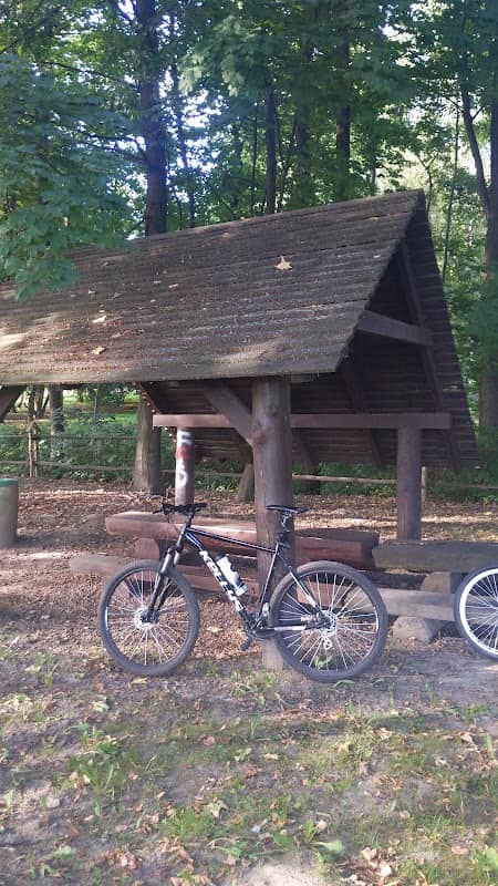 Ławeczki pod drzewami - Image 1