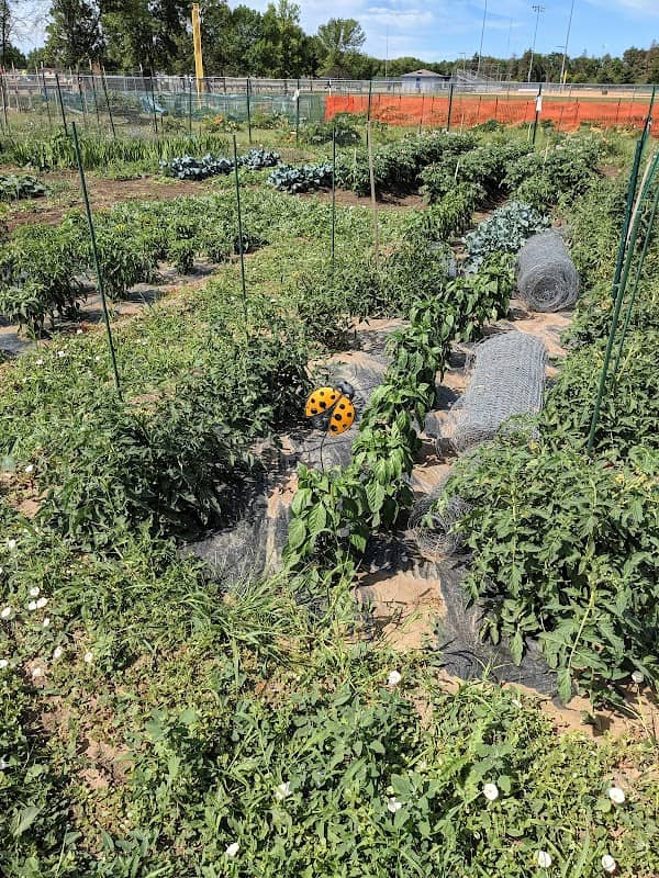 Rainbow Gardens - Image 2
