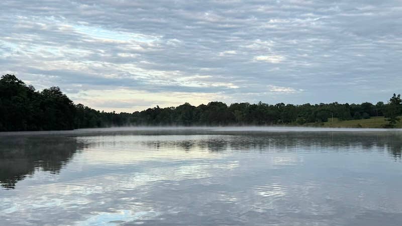 Lake view - Image 2