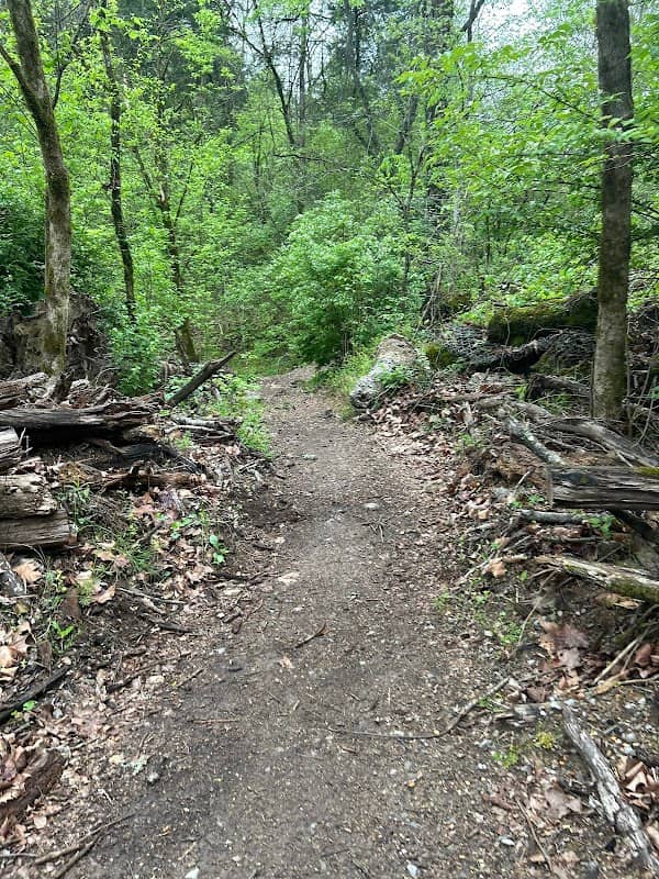 Walk to Quarry - Image 2