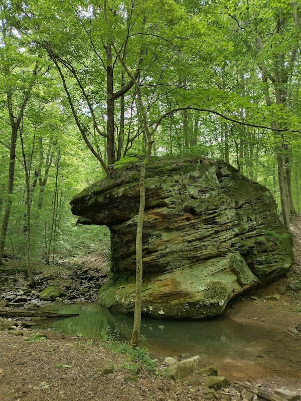 German Ridge Recreation Area - Image 2