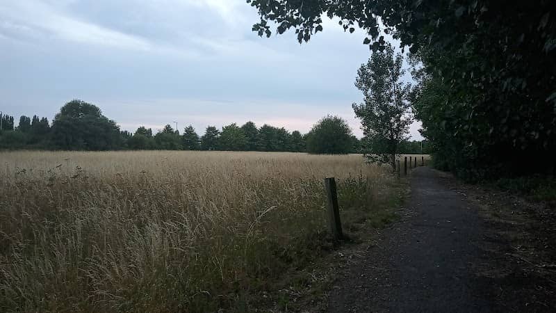 Prologis Country Park Footpath - Image 2