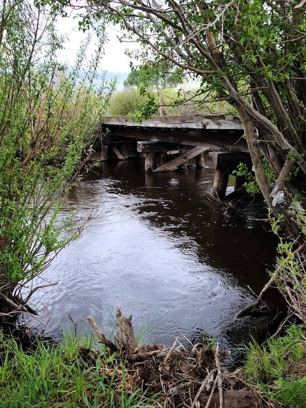 Tomichi Creek State Wildlife Area - Image 2
