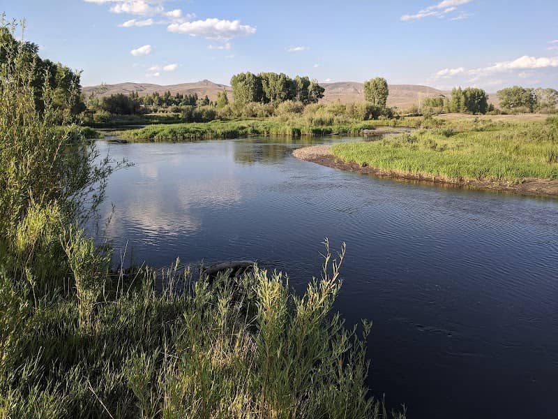 Tomichi Creek State Wildlife Area - Image 1