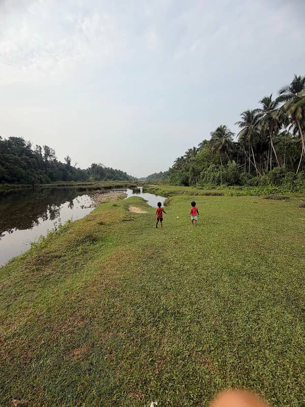Pulloonni Kadavu-Mini Green valley - Image 1