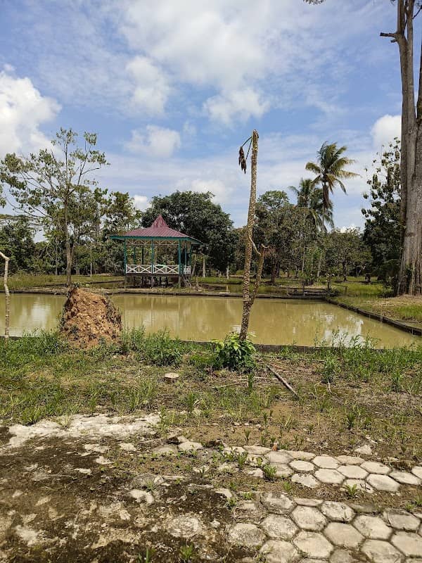 wisata kolam pemancingan - Image 1