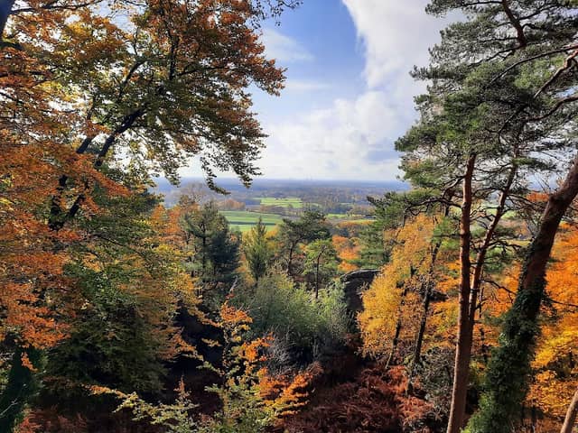 Aussichtspunkt Dörenther Klippen - Image 1