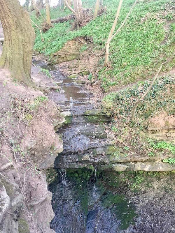 Oldfield to Wirral Way - Image 2