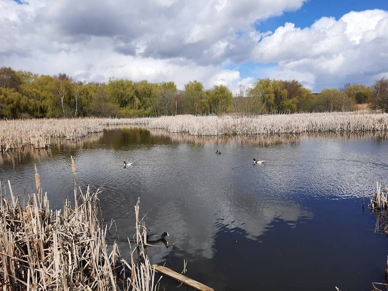 Shibdon Pond Local Nature Reserve - Image 2