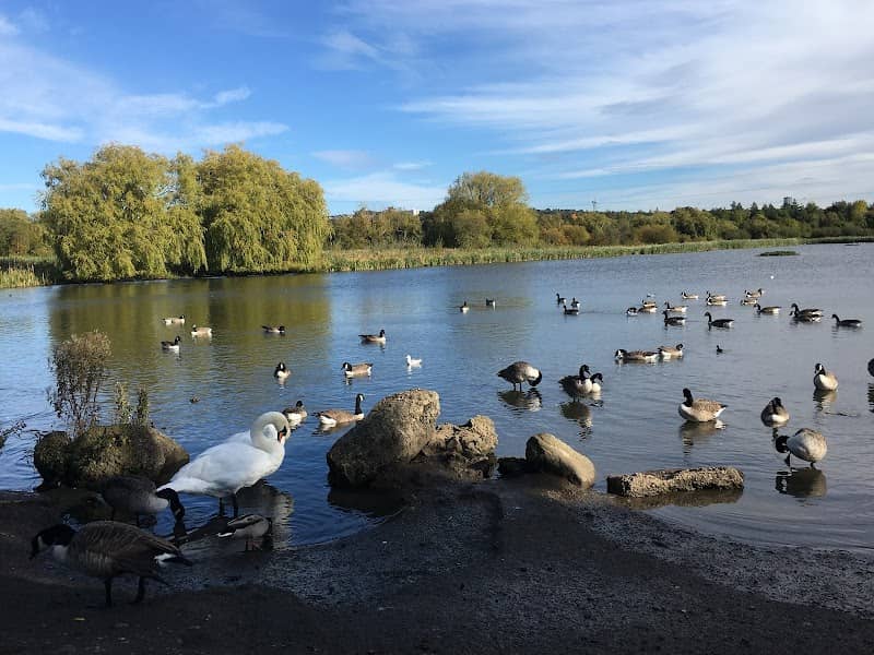 Shibdon Pond Local Nature Reserve - Image 1