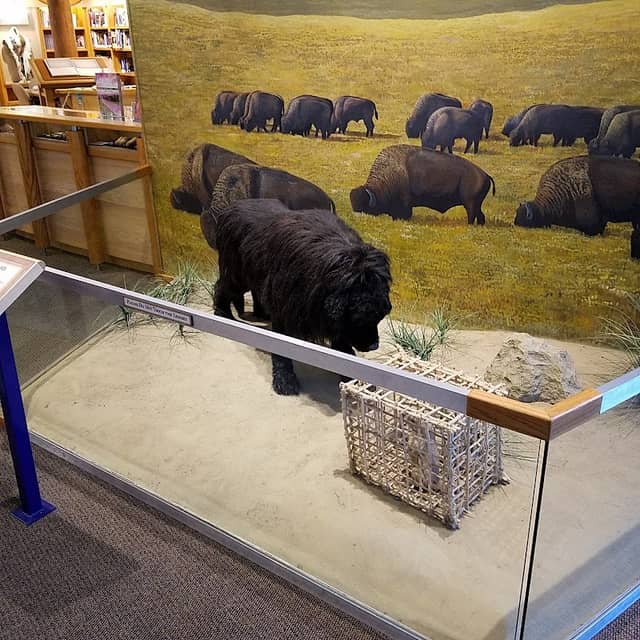 Lewis and Clark Interpretive Center - Image 3