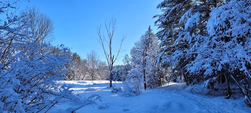Promenade de la rivière Brownsburg-Chatham - Image 1