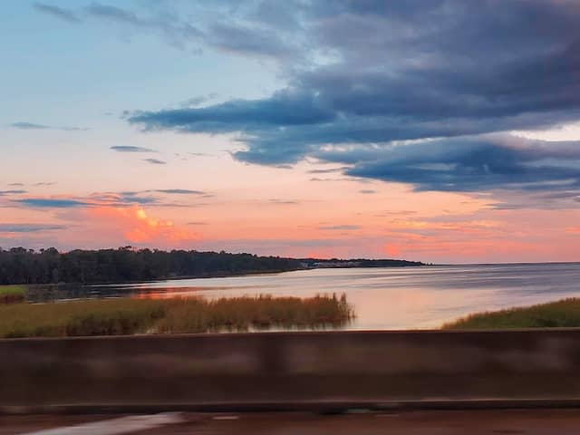 D'Olive Bay Forever Wild Tract - Image 2