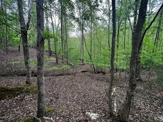 Bard's Bluff - Image 1