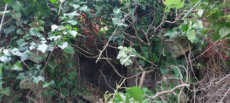 Fonte dell'Acquasanta - Image 1