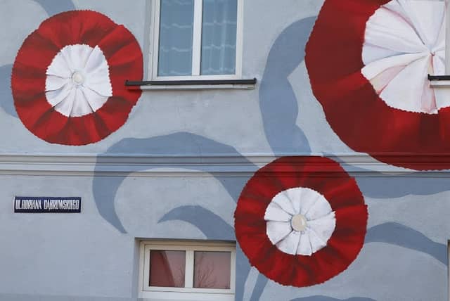 Mural Wow Wall Studio - Image 1