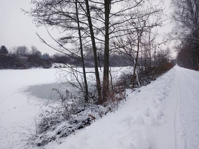 Trasa pieszo-rowerowa nad Kanałem Żerańskim - Image 2