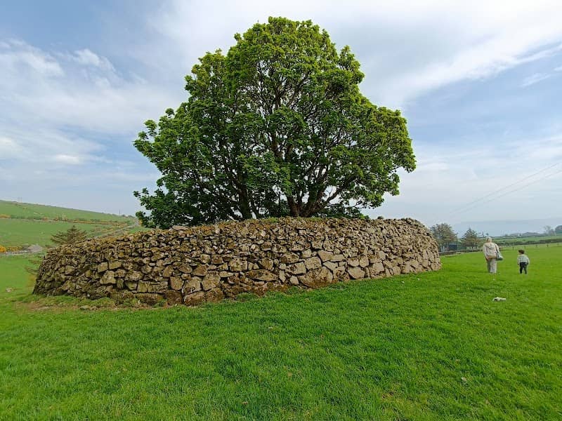 Altagore Cashel - Image 2