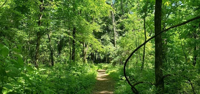 TVA Muscle Shoals Trails Complex - Image 2