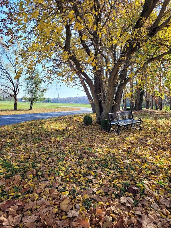 Liberty park nature trail - Image 2