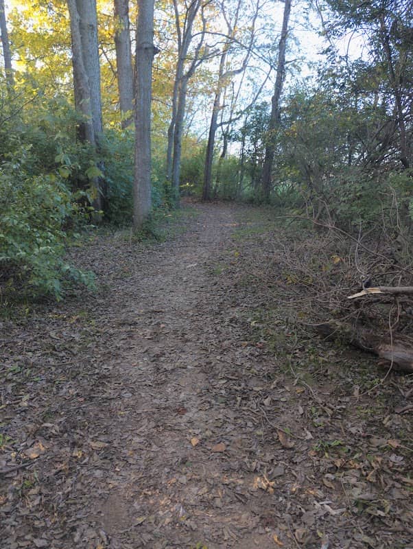 Liberty park nature trail - Image 1