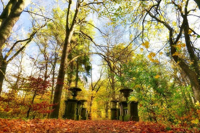 Schlosspark Ringelheim - Image 1