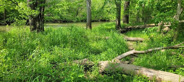 David E. Richards Park - Image 2