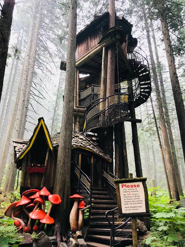 Enchanted Forest - Image 1