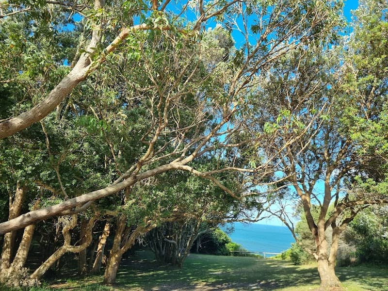Cliff St Lookout - Image 2