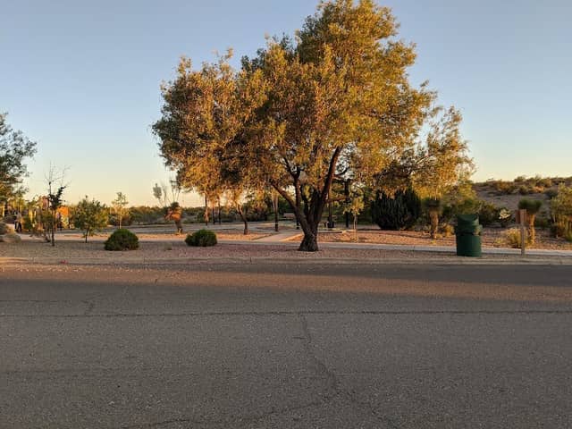 Paseo De Oñate Park - Image 2