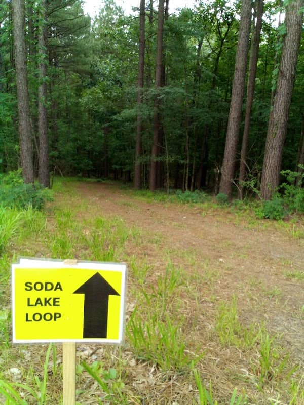 1North Adventure Trails Park - Image 1